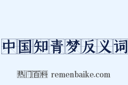 中国知青梦反义词是什么意思的图片